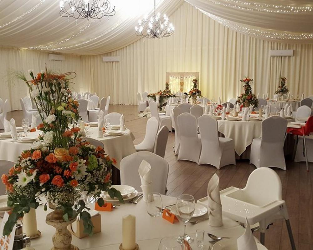 35311951 566187557096133 6318880800704036864 N