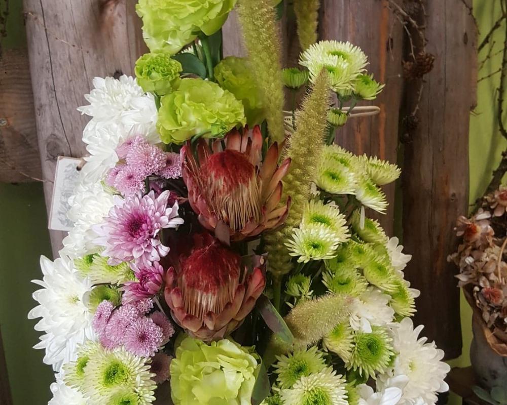 38030590 610025769378978 1259901477728550912 N