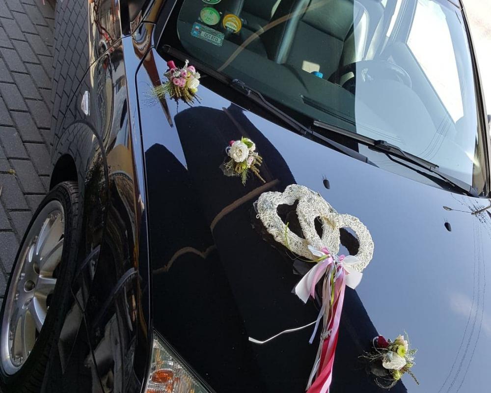 38235138 611692359212319 5940691432594472960 N