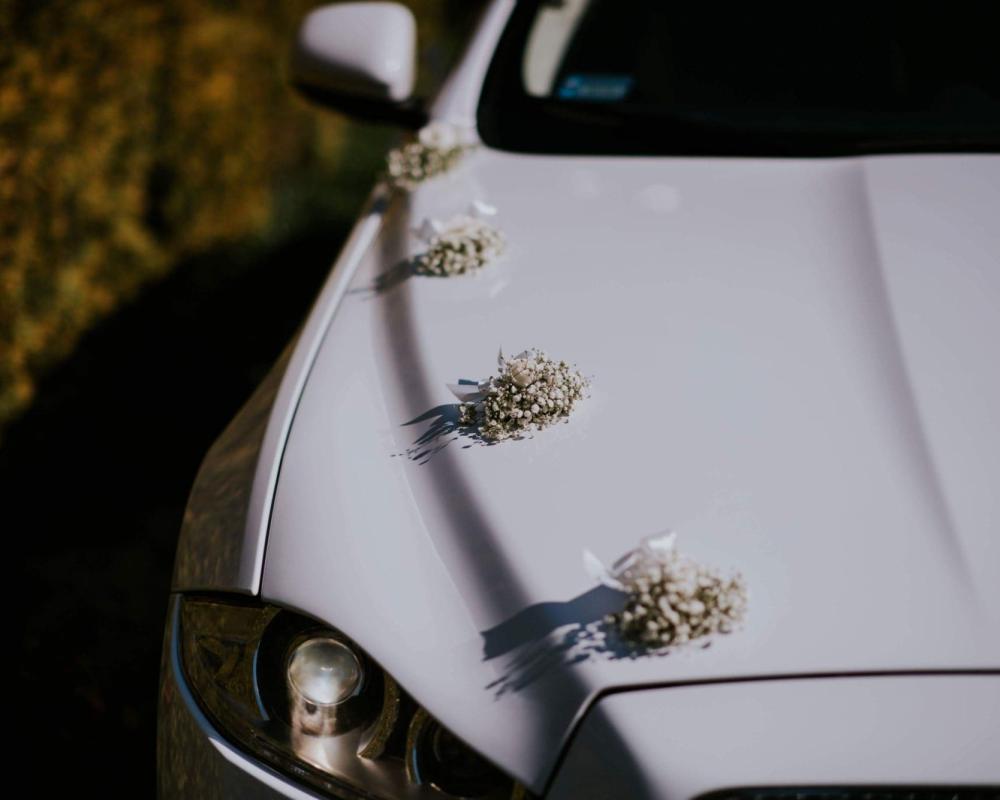 38643150 1055873971236263 4138901245458907136 N