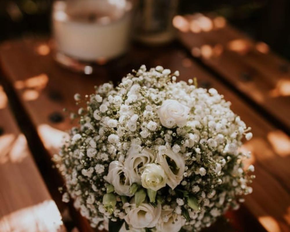 38693384 222927705086347 3239203818553999360 N