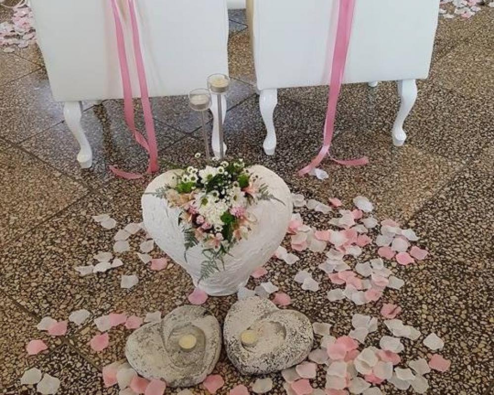 32290844 549390358775853 868550568887451648 N