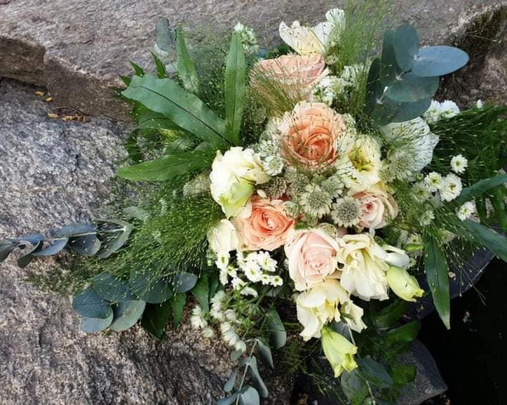 64513411 800749273639959 7466512803977756672 N