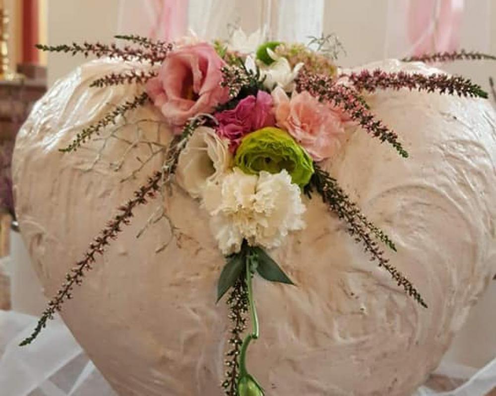 41413796 643807652667456 4796122896349003776 N