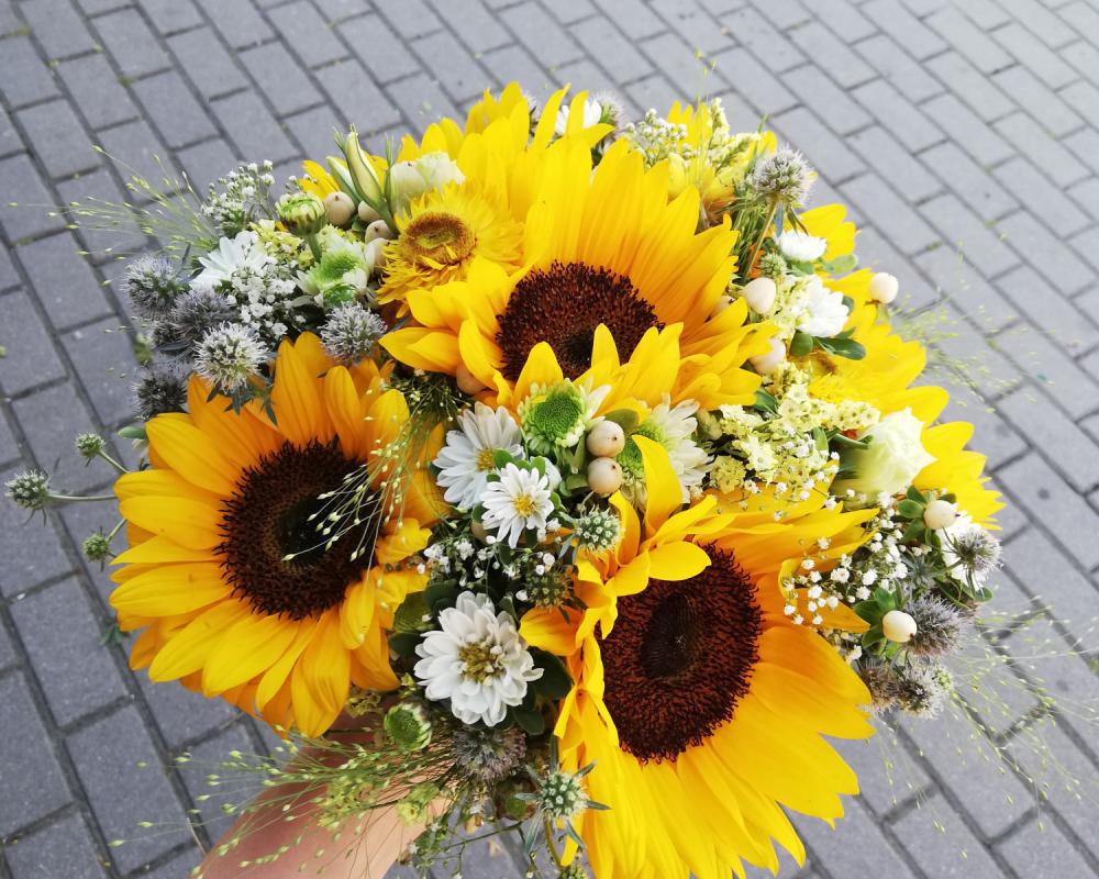 38260536 2181191605485325 4496502589050847232 N 1