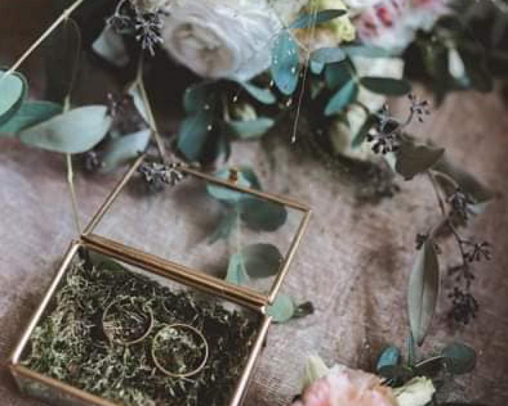 75557468 898424157205803 6773498166953115648 N