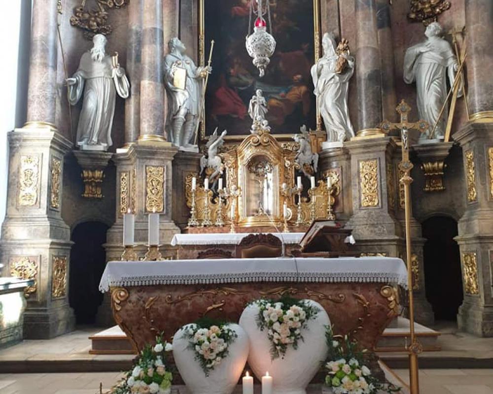 72373967 874396219608597 6132568297679355904 N