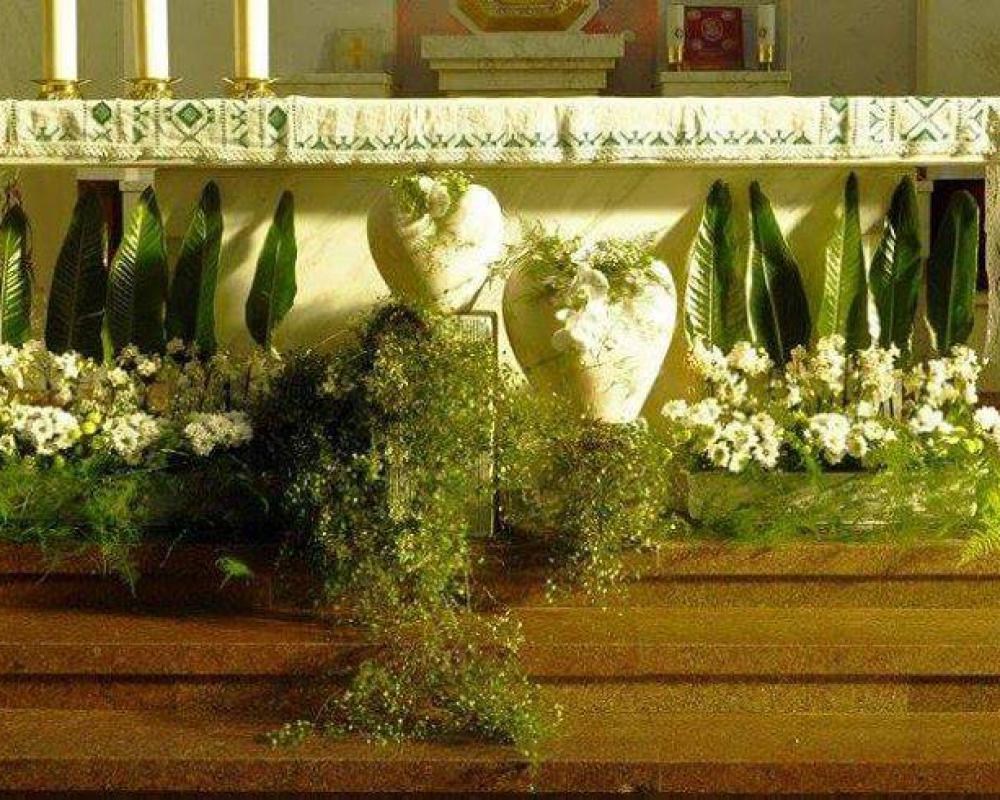 27332090 505866883128201 6745463585252264512 N