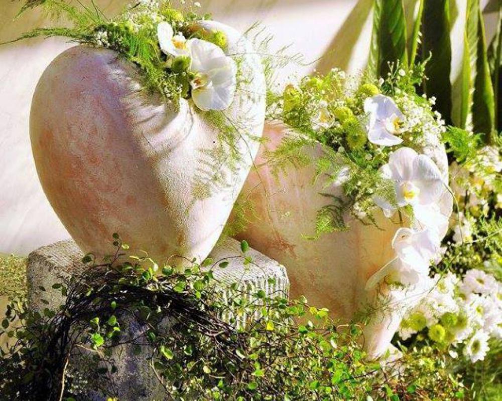 27458898 505866889794867 2791486567173820378 N