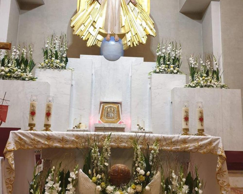 61145843 786259441755609 1602755561483403264 O