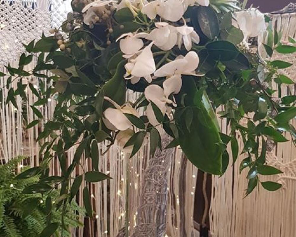 51751354 723348778046676 3527286933162033152 O