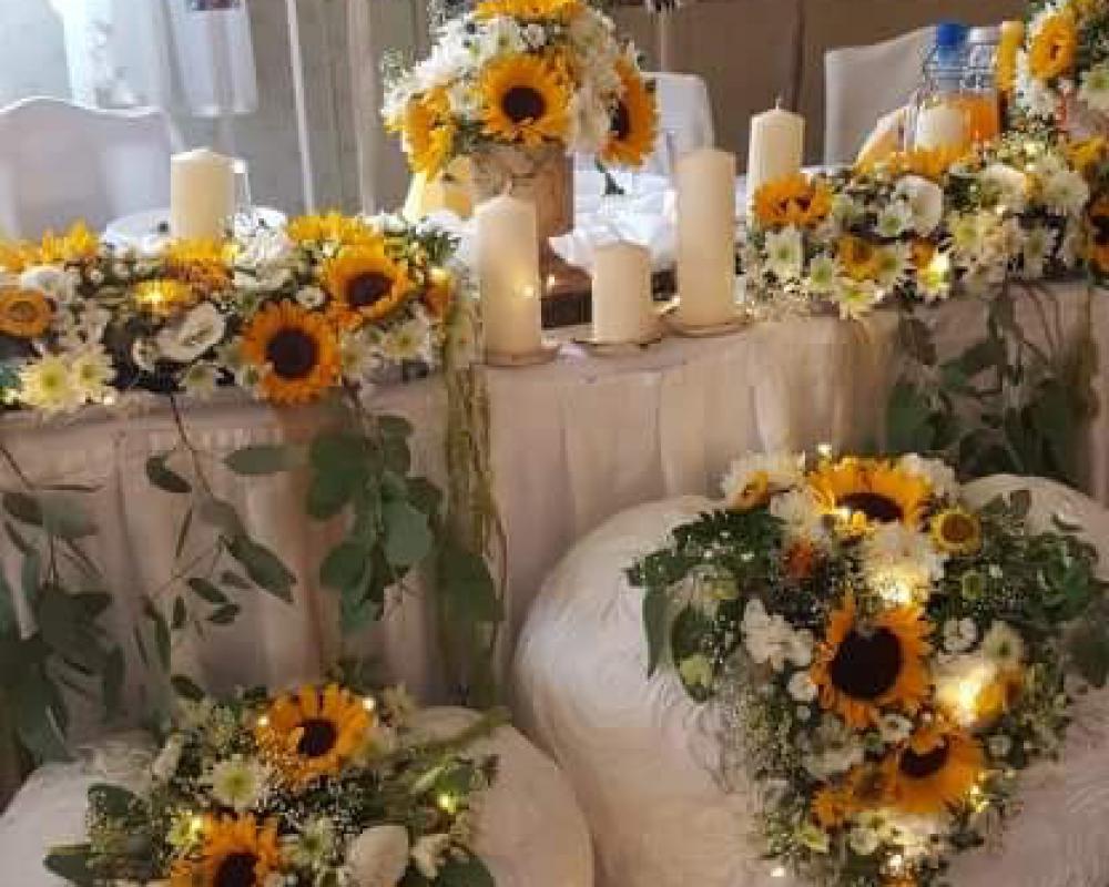 38212493 614606608920894 3102315320975556608 N