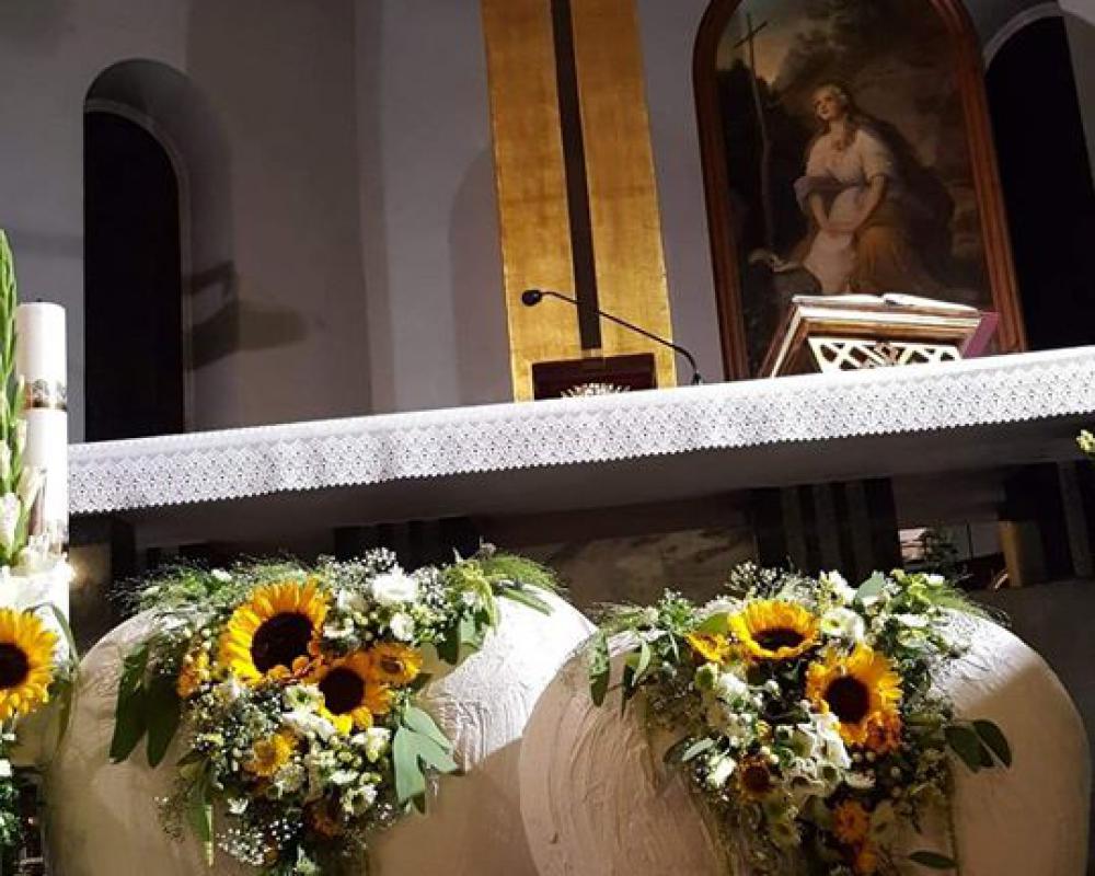 38524179 616594312055457 3281892245833252864 O1