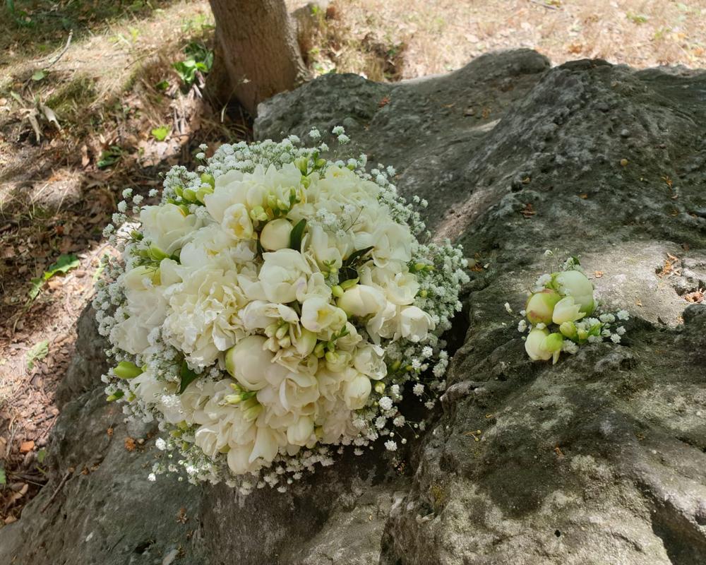 65583358 809777006070519 854992220422406144 O