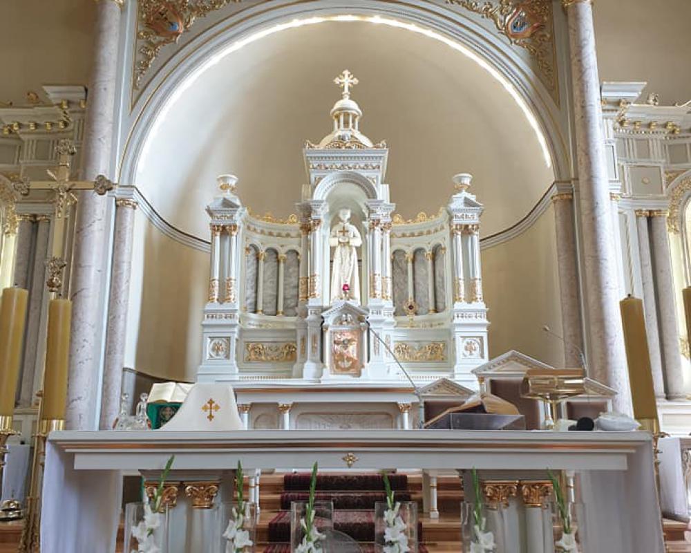 65940608 809333076114912 1155903843997843456 N