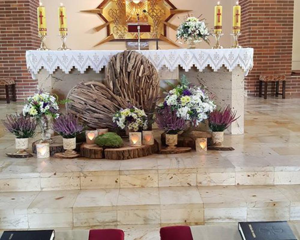 44181720 660854147629473 2745087192861769728 O